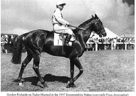 tudor minstrel horses